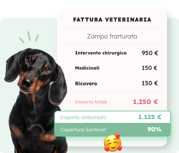 2025_SV IT_FACTURE_CHIEN_Desk