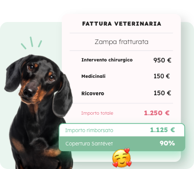 2025_SV IT_FACTURE_CHIEN_Mob